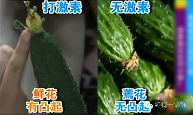 夏季蔬菜農(nóng)藥殘留排行榜