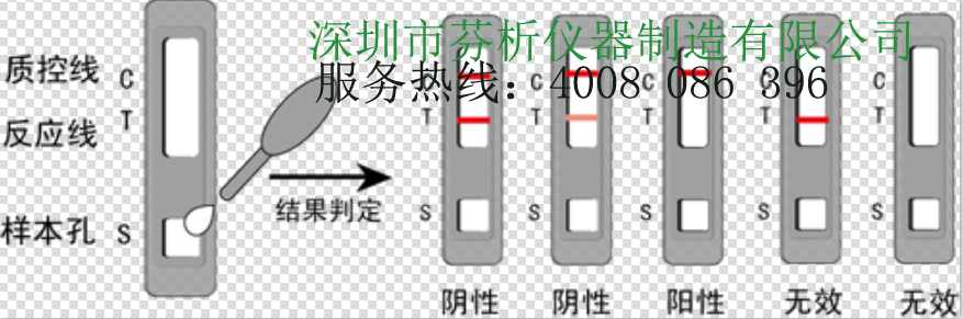 萊克多巴胺快速檢測卡